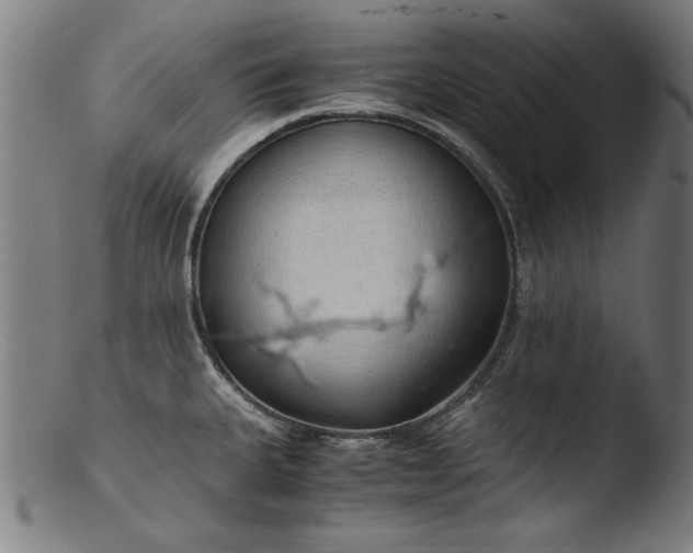 X0000103411335200809261634