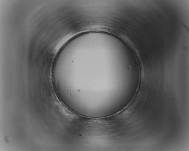 X0000103411336200809261634