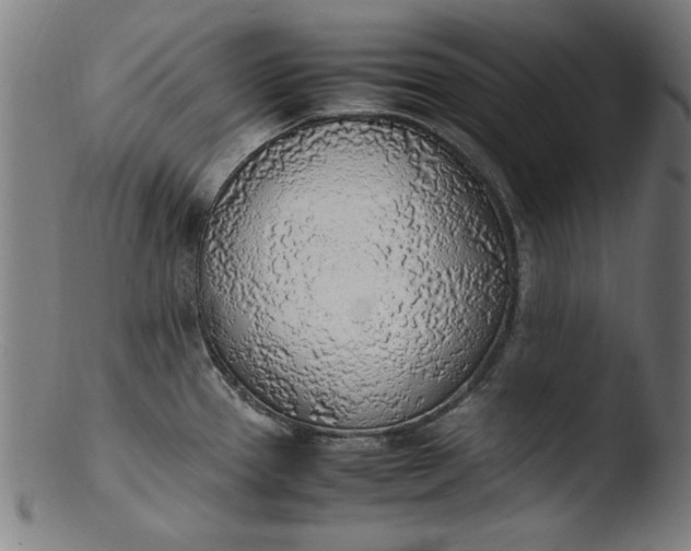 X0000103411337200809261634