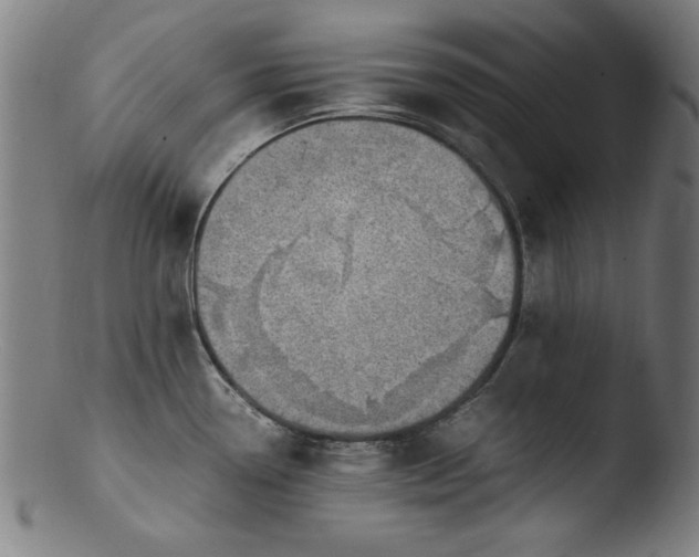 X0000103411338200809261634