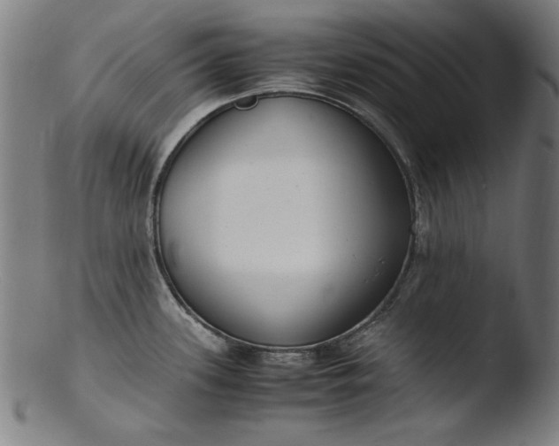 X0000103411339200809261634