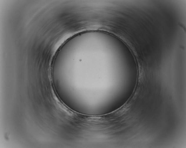 X0000103411342200809261634