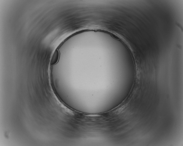 X0000103411343200809261634