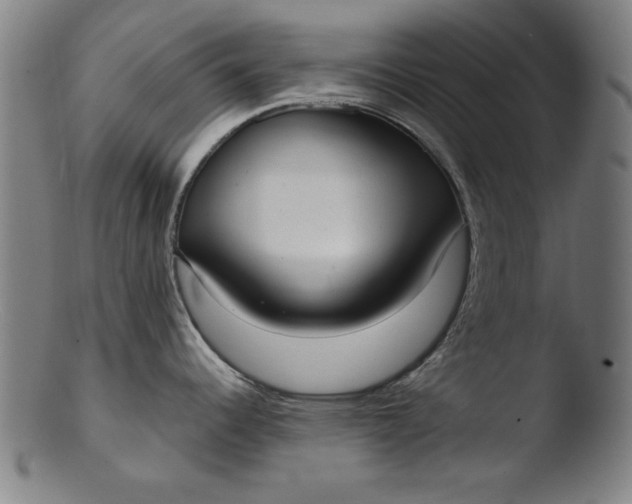 X0000103411344200809261635