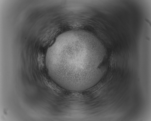 X0000103411346200809261634