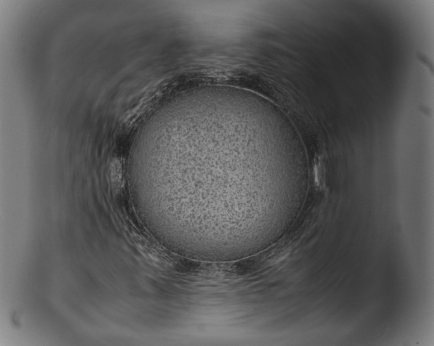 X0000103411347200809261634