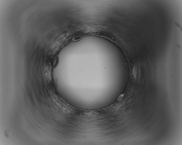 X0000103411348200809261634