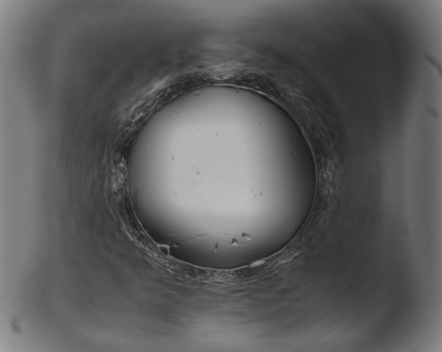 X0000103411349200809261634