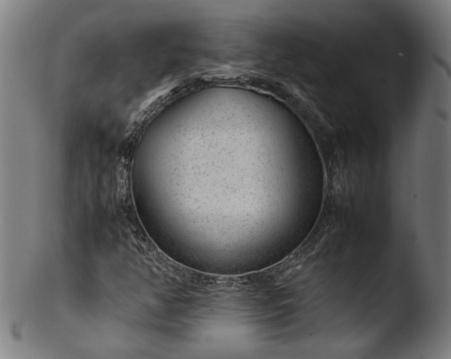 X0000103411350200809261634