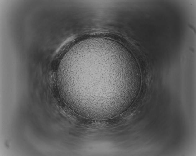 X0000103411351200809261634