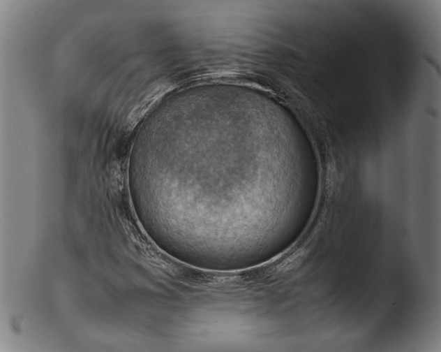 X0000103411353200809261634