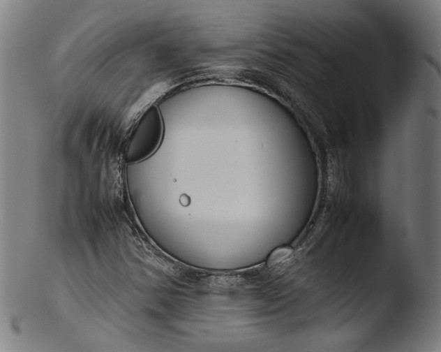 X0000103411354200809261634