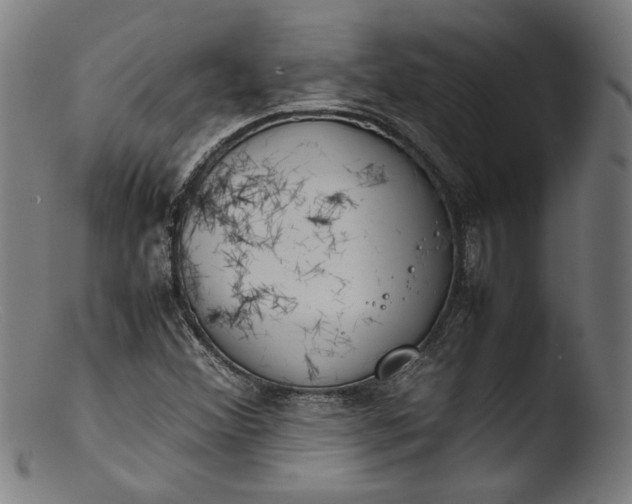 X0000103411356200809261634