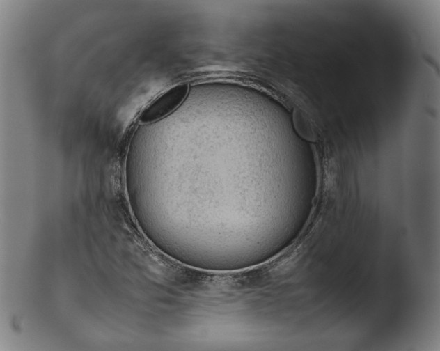 X0000103411357200809261634