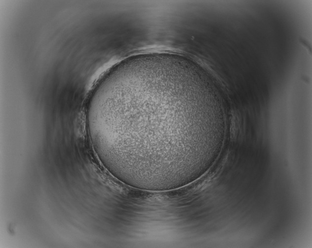 X0000103411358200809261633