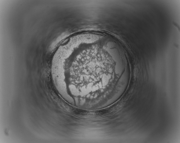 X0000103411359200809261633