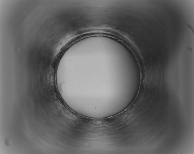 X0000103411360200809261633