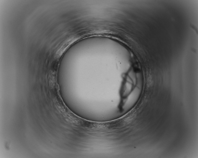 X0000103411361200809261633