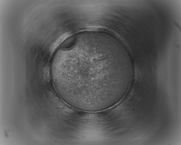 X0000103411362200809261633