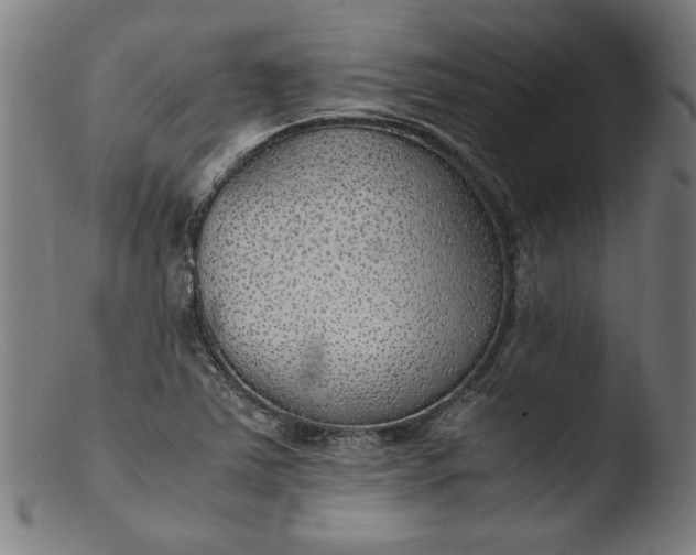 X0000103411363200809261633