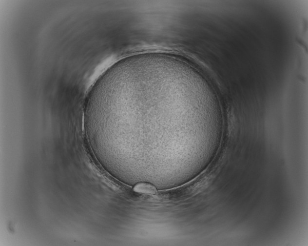 X0000103411365200809261633