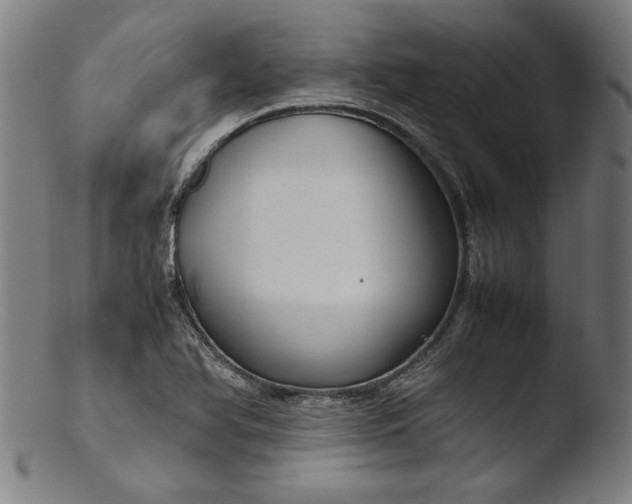 X0000103411366200809261633