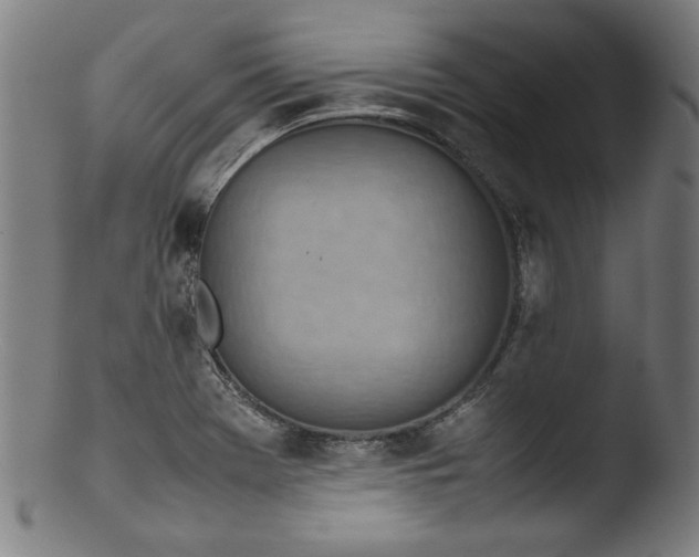 X0000103411369200809261633