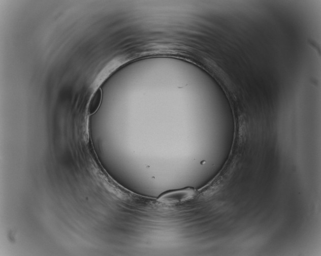 X0000103411370200809261633