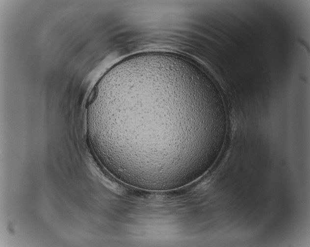 X0000103411371200809261633