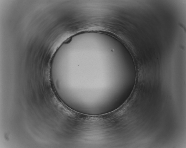 X0000103411374200809261633