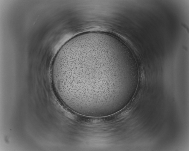 X0000103411375200809261633