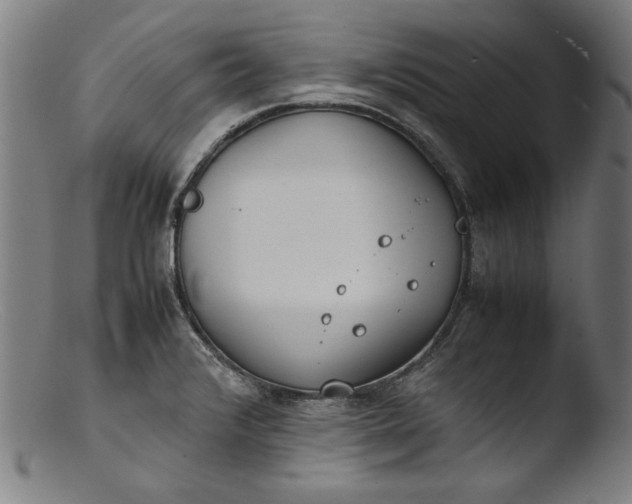 X0000103411376200809261633