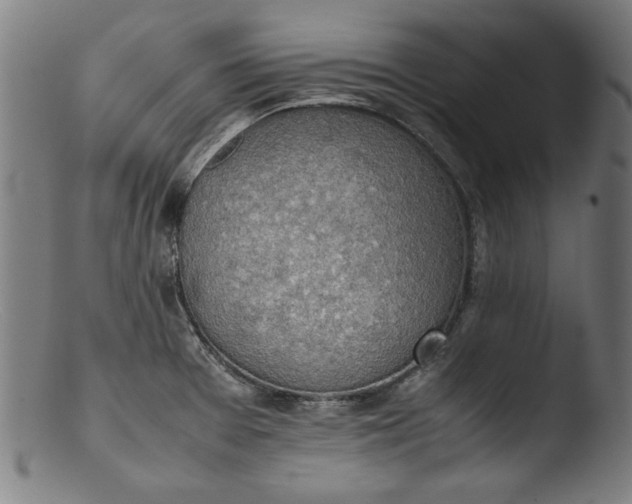 X0000103411377200809261633