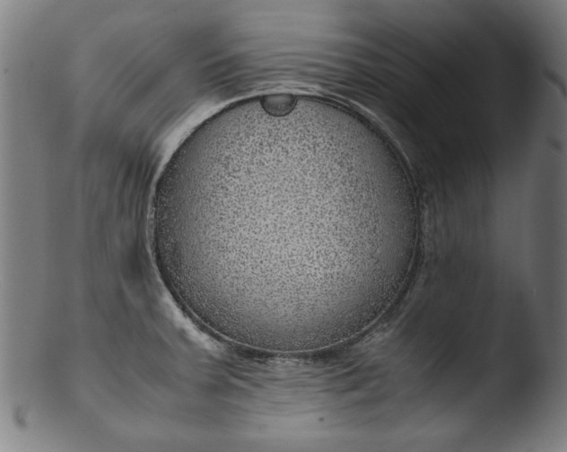 X0000103411379200809261633