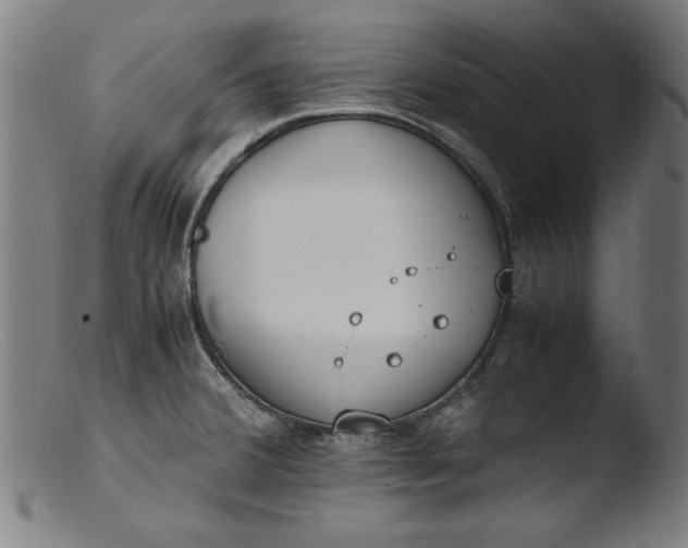 X0000103411380200809261633