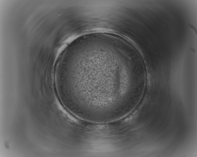 X0000103411381200809261633