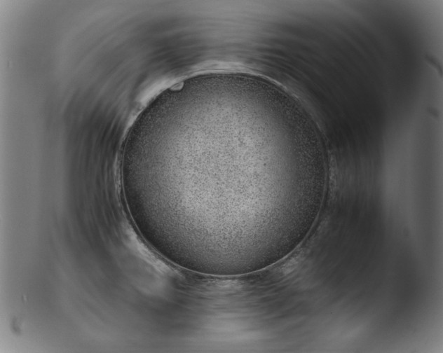 X0000103411382200809261633