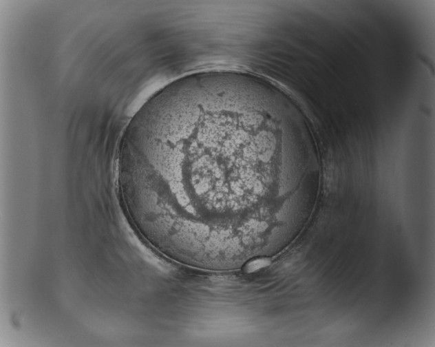 X0000103411383200809261633