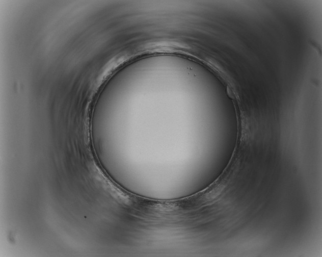 X0000103411384200809261633