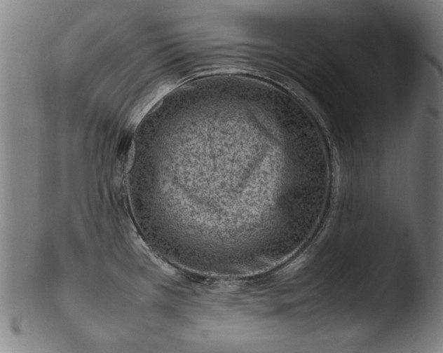 X0000103411385200809261633