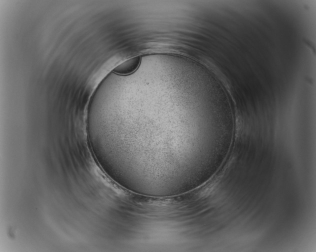 X0000103411386200809261633