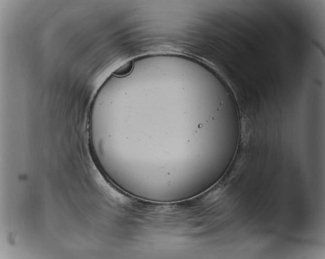 X0000103411387200809261633