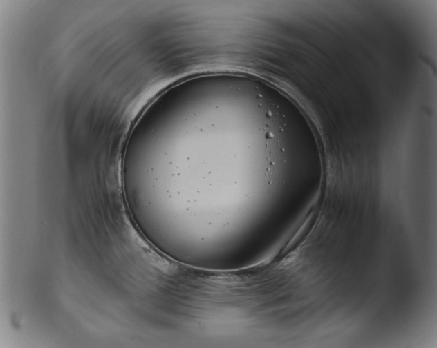 X0000103411388200809261633