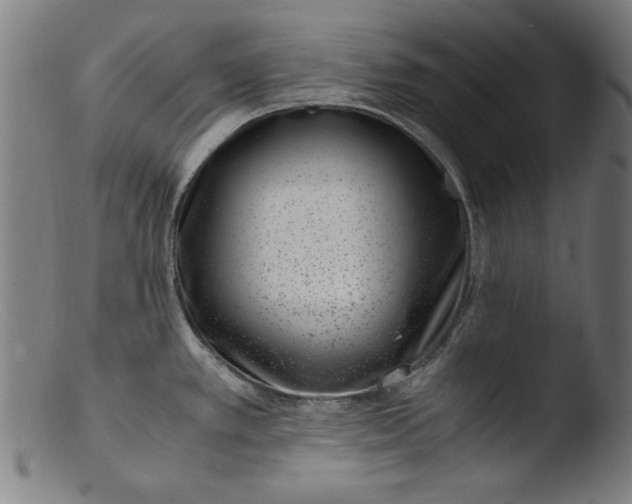 X0000103411389200809261633