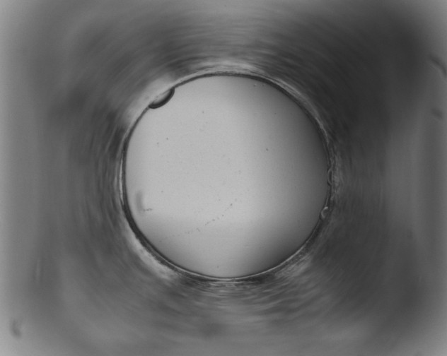 X0000103411391200809261633