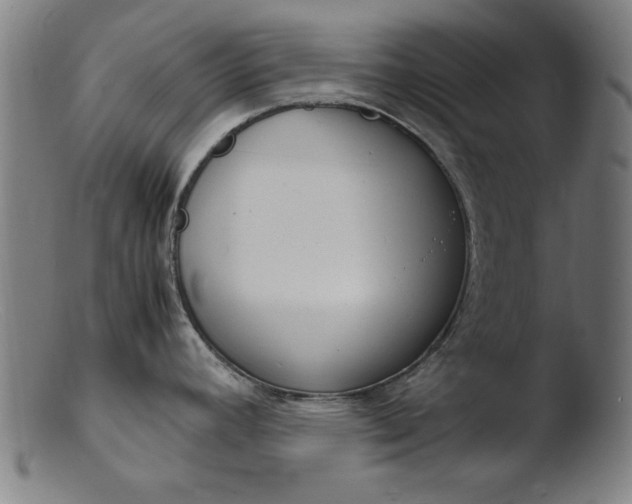 X0000103411392200809261633