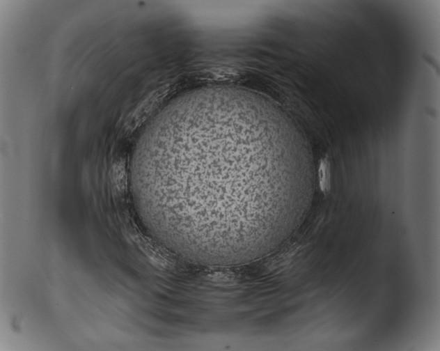 X0000103411395200809261632