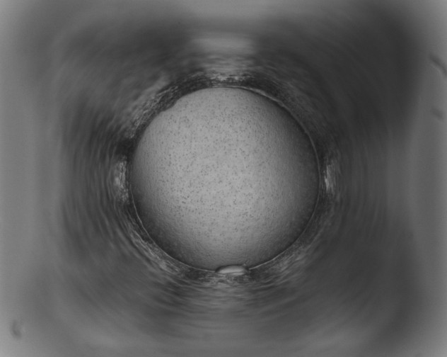 X0000103411396200809261632