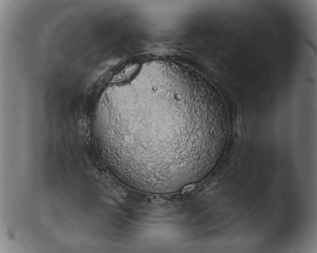 X0000103411398200809261632