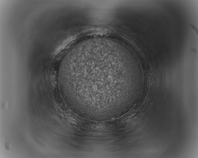 X0000103411399200809261632